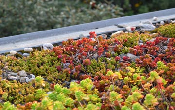 the cost of Heathwaite green roof installation