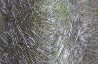 Heathwaite fibreglass roof work